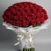 Букет 101 Красная роза Блэк Мэджик в Красном Куте