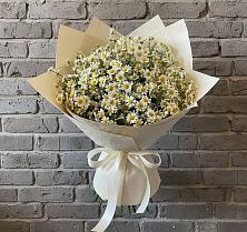 Букет цветов из:  Ромашки в Красном Куте