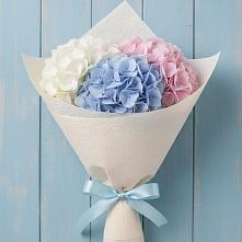 Букет цветов из:  Гортензия в Красном Куте