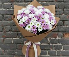 Букет цветов из:  Хризантемы #REPLACE_PRED# Красном Куте