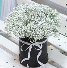 Цветочная композиция из Гипсофила в шляпной коробке в Красном Куте