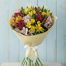 Букет цветов из:  Альстромерии в Красном Куте