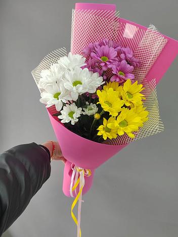 Букет цветов из: Хризантемы в Красном Куте