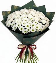 Букет цветов из:  Хризантемы #REPLACE_PRED# Красном Куте