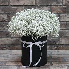 Цветочная композиция из Гипсофила в шляпной коробке в Красном Куте