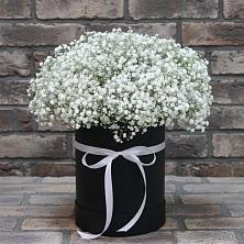 Цветочная композиция из Гипсофила в шляпной коробке в Красном Куте