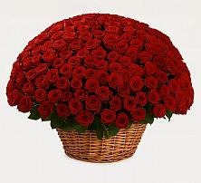 Премиум букет из: Розы в Красном Куте