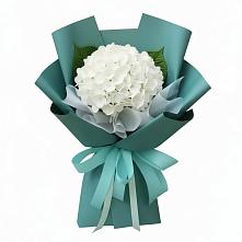 Букет цветов из:  Гортензия в Красном Куте